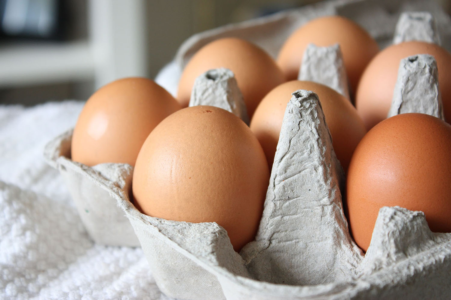 Fresh eggs for sale